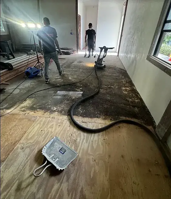 Two crew members with a floor machine and vacuum hose take old black adhesive off a plywood subfloor